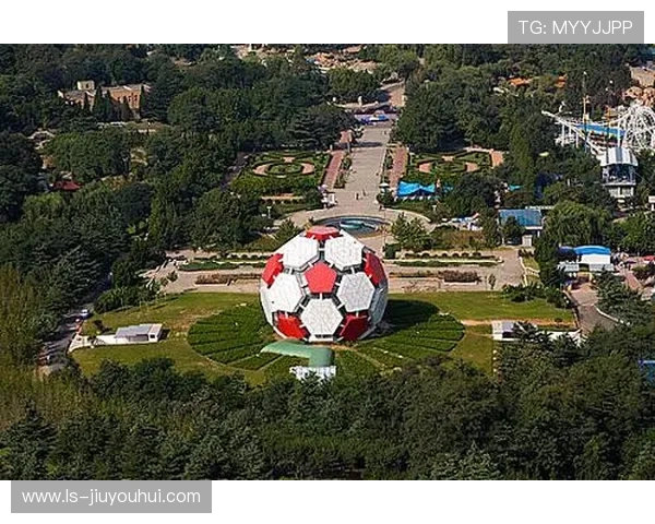 大连预售足球未来发展趋势分析及市场潜力探讨 大连预售足球未来发展趋势分析及市场潜力探讨